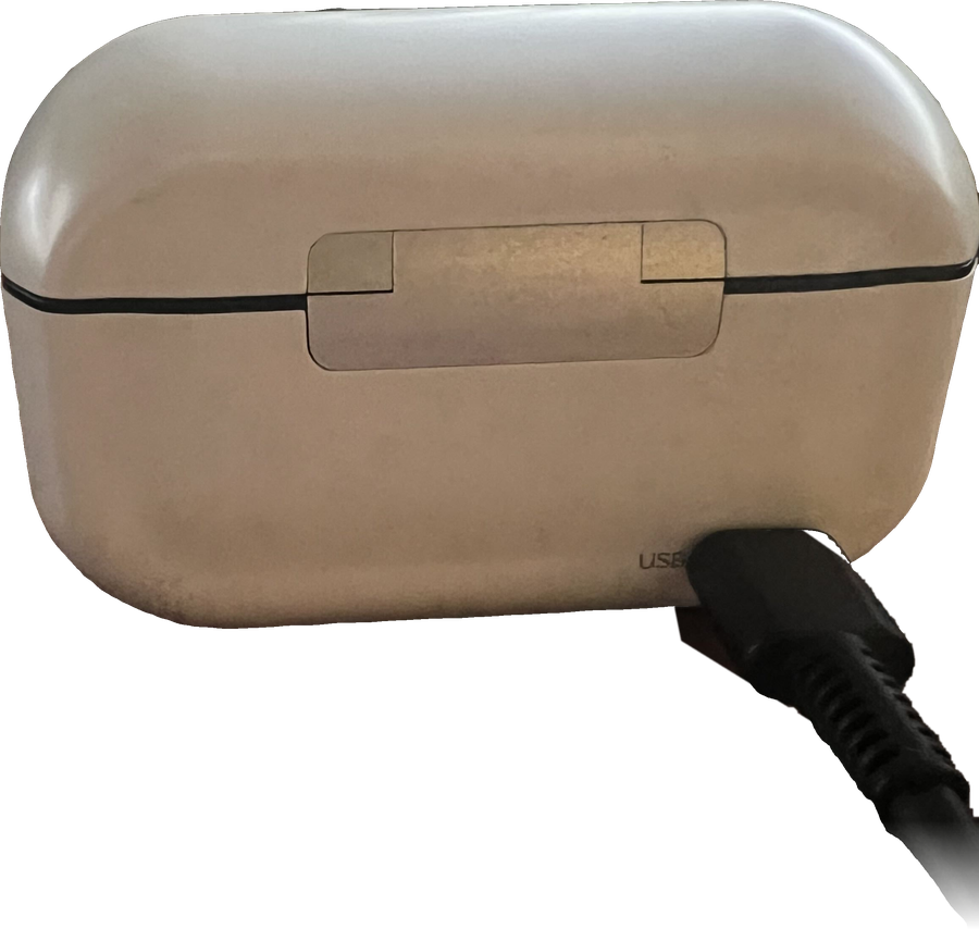 Plug the case into the wall